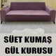  Renk Gül Kurusu