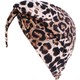  Renk Leopar