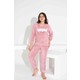  Renk Pembe