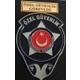 Seçili Renk Mavi