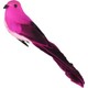  Renk Pembe