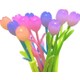 Renk Tulip Blue