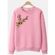  Renk 50-Pembe