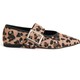  Renk Leopar