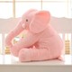  Renk Pembe