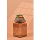  Renk Light Amber