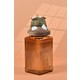  Renk Medium Amber