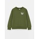  Renk Green