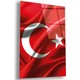 Seçili Renk Renkli