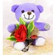  Renk 571 Lila