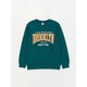  Renk Dark Green