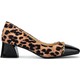  Renk Leopar