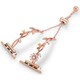  Renk Rose - Gold