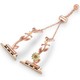  Renk Rose - Gold