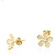  Renk Gold