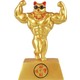 Seçili Renk Gold