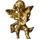 Seçili Renk Gold