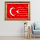 Seçili Renk Renkli
