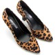  Renk Leopar