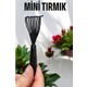 Seçili Renk Renkli