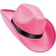  Renk Pembe