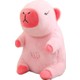  Renk Pembe