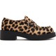  Renk Leopar