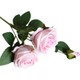  Renk Pembe