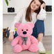  Renk 17 Pembe