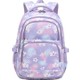  Renk Purple