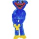 Seçili Renk Blue