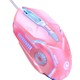  Renk Pembe