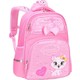  Renk Pembe