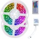 Seçili Renk RGB