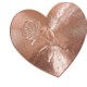  Renk Rose Gold
