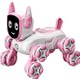  Renk Pembe