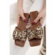  Renk Taba Leopar