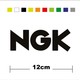 Seçili Renk Renkli