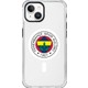 Seçili Renk Renkli