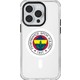 Seçili Renk Renkli