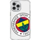 Seçili Renk Renkli
