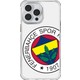 Seçili Renk Renkli