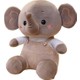  Renk 05 Brown