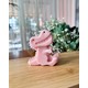  Renk Pembe