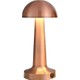  Renk Bronz