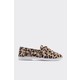  Renk Leopar