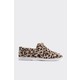  Renk Leopar