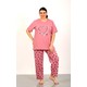  Renk Pembe