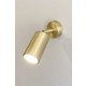  Renk Gold