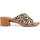  Renk Leopar